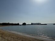 ���炳�炳�񂲂���̊����򓇂̓��e�ʐ^1