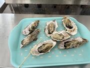 ���炳�炳�񂲂���̂����݂Ȃ̓��e�ʐ^1