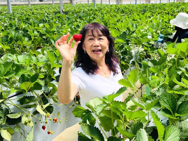 �r�^�~��C�������ɓ���_@FARM(�A�b�g��t�@�[��)~��������襂��܂����x�襃g�}�g���Y������~