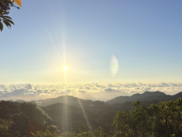 ������񂳂�̍����x�̓��e�ʐ^3