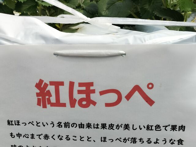 �u�g�ق��؁v_�䂢�܁[��FARM