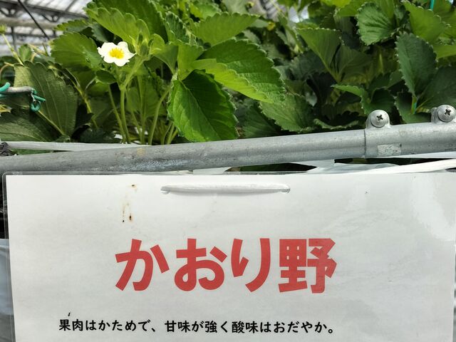 �u�������v_�䂢�܁[��FARM