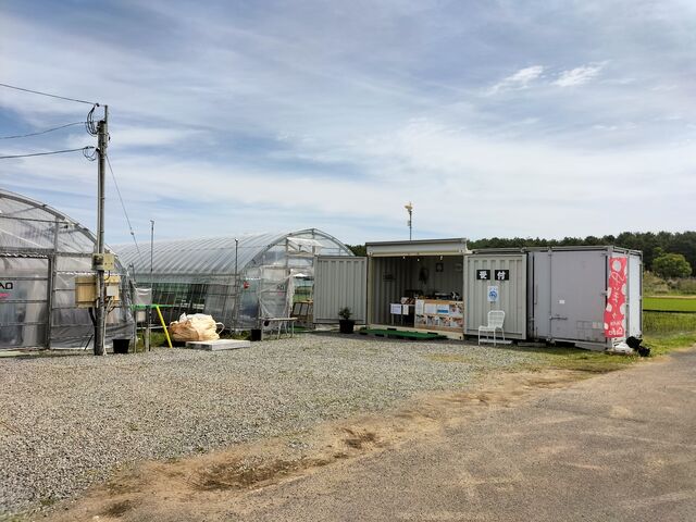 �R���e�i�n�E�X�Ŏ�t�A�����A���������X�^�[�g�ł��i60���j_�䂢�܁[��FARM