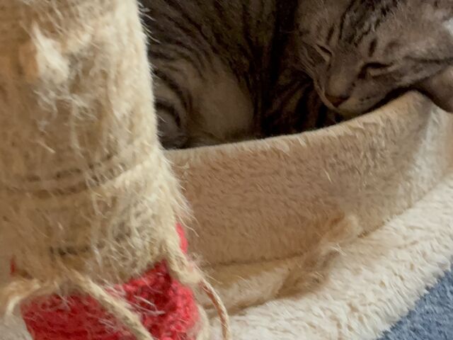 �����炿������̔L�J�t�F�˂���̓��e�ʐ^4