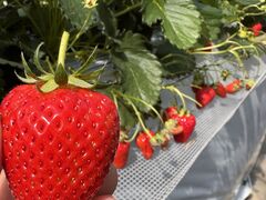 �����������t���[�Y�̎ʐ^1