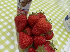 ���̍��̂킭�킭�_���@�������n�E�X�̎ʐ^2