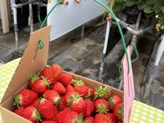 ���̍��̂킭�킭�_���@�������n�E�X�̎ʐ^4