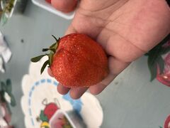 ���E�t���[�Y�̎ʐ^1