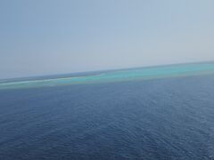 �c�Ǌ�(�P���})�C�攼���c�A�[���X�@OPG�̎ʐ^1