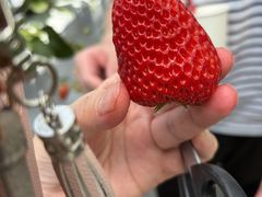 ��߂���䕃n�E�X�̎ʐ^1