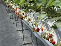 ��߂���䕃n�E�X�̎ʐ^2