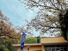 ���m�Y����@�l�G�̓��@�r�A�H�[�̎ʐ^1