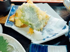 ���m�Y����@�l�G�̓��@�r�A�H�[�̎ʐ^5