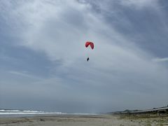 ���C�g�h���[���̎ʐ^1