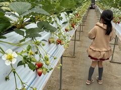 ���������j�R�j�R�t�@�[���̎ʐ^1