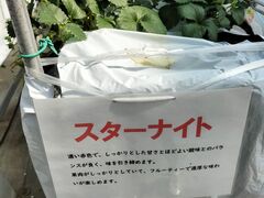 �䂢�܁[��FARM�̎ʐ^3