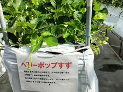 �䂢�܁[��FARM�̎ʐ^4