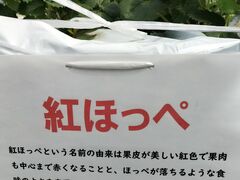 �䂢�܁[��FARM�̎ʐ^5