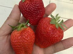 ���C���������̎ʐ^1