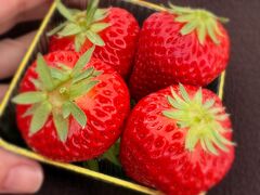 ��t�}�[�N�_���̎ʐ^1