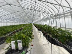 ��t�}�[�N�_���̎ʐ^2