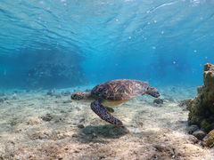 Nami�{�Ó��̎ʐ^1