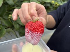 ���z�l�_���̎ʐ^1