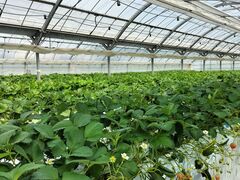 �䂢�܁[��FARM�̎ʐ^3