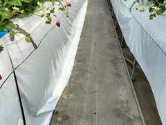 �䂢�܁[��FARM�̎ʐ^4