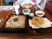 �O���`������̏x�͘p���ÃT�[�r�X�G���A�i�����j�̓��e�ʐ^2