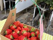 �r(^�l^)����̐��̍��̂킭�킭�_���@�������n�E�X�̓��e�ʐ^4