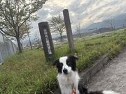 4�l�̂��[����񂳂�̋g�ˎ��̓��e�ʐ^1