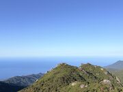 ������񂳂�̍����x�̓��e�ʐ^1