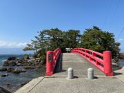 �s���N�̔L����̒Ð_�������̓��e�ʐ^2