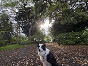 4�l�̂��[����񂳂�̋g�ˎ��̓��e�ʐ^1