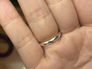 �䂳��̃x�A�[�e�[���̓��e�ʐ^1