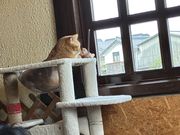 �����炿������̔L�J�t�F�˂���̓��e�ʐ^3