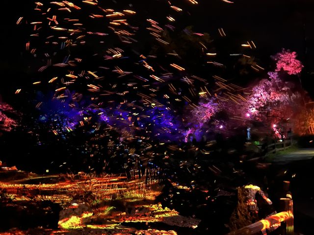 �f���ʐ^����������B��܂���_��ʎВc�@�l�_��ό���