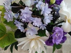 Premium Flowers �v���~�A�� �t�����[�Y�i�t�����[�f�U�C���X�N�[���j�̎ʐ^1