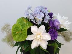 Premium Flowers �v���~�A�� �t�����[�Y�i�t�����[�f�U�C���X�N�[���j�̎ʐ^2