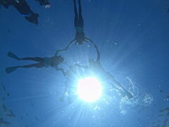 SeaWorld�̎ʐ^1