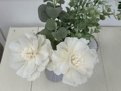 Lien fleuri �ԋ������A���t�����̎ʐ^1