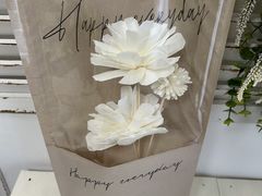 Lien fleuri �ԋ������A���t�����̎ʐ^2