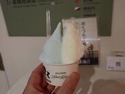 yosshy����̃W�F���e���A Rimo Sapporo�̓��e�ʐ^4