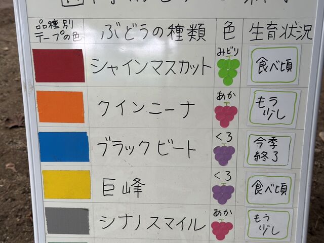 �H�ׂ���i��\��_�{�M�ό��Ԃǂ���