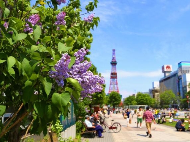 ��ʌ����̃��C���b�N