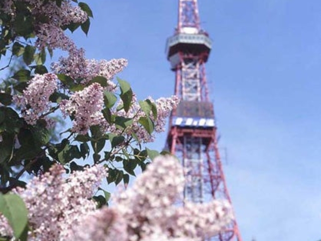 ��ʌ����̃��C���b�N