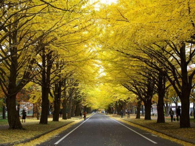 �k��C�`���E����