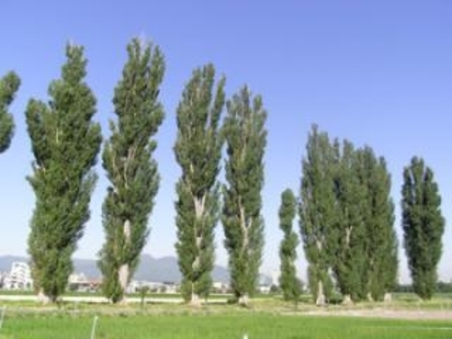 �k��C�`���E����