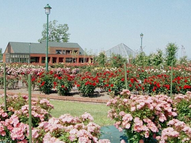 ����݂�������̃o��_����݂�������o����